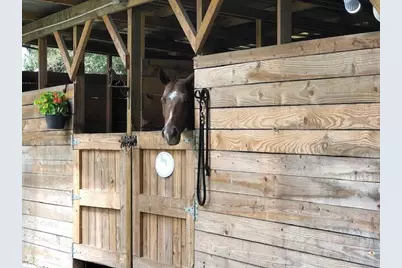 359 W D Road, Loxahatchee Groves, FL 33470 - Photo 10