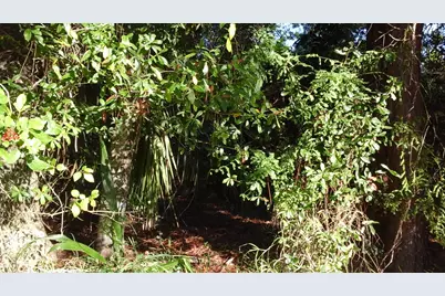 737 Benedictine Terrace, Sebastian, FL 32958 - Photo 2
