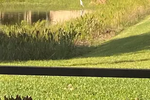 13023 Salinas Point Way, Delray Beach, FL 33446 - Photo 30