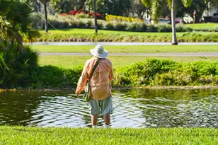 3502 Bimini Ln, Coconut Creek, FL 33066 - Photo 162