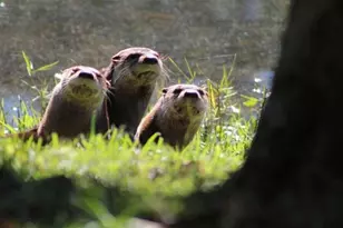 5748 SE Riverboat Dr, Stuart, FL 34997 - Photo 28