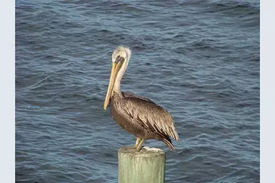 5220 Las Verdes Circle, Unit #312, Delray Beach, FL 33484 - Photo 64