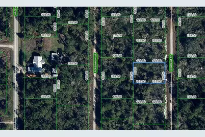 1256 Kumquat Street, Lake Placid, FL 33852 - Photo 4