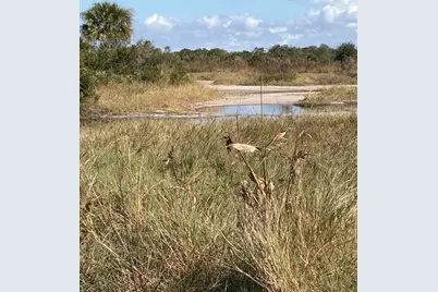 Nw 308th Street, Okeechobee, FL 34972 - Photo 6