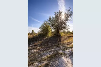 17593 NW 266th Street, Okeechobee, FL 34974 - Photo 2