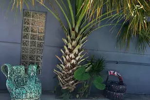 2212 SE 4th, Fort Lauderdale, FL 33316 - Photo 6