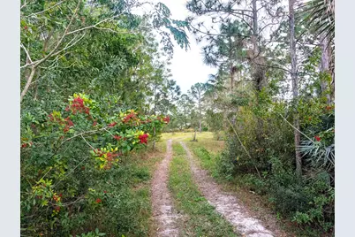 8590 130th Avenue, Fellsmere, FL 32948 - Photo 1
