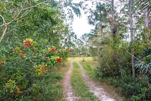 8590 130th Ave, Fellsmere, FL 32948 - Photo 1