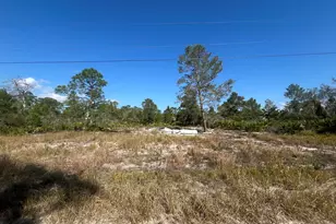 203 Raven Ave, Sebring, FL 33870 - Photo 1