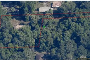 12265 N G W Carver Rd, Dunnellon, FL 34434 - Photo 1