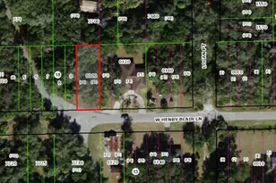 1789 W Henry Blair Ln, Dunnellon, FL 34434 - Photo 1