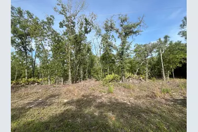 1321 W Delores Drive, Citrus Springs, FL 34434 - Photo 1