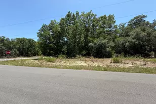 11064 N Academy Dr, Citrus Springs, FL 34434 - Photo 1