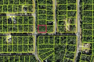 9123 N Patch Dr, Citrus Springs, FL 34434 - Photo 1