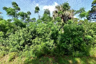 Oleander Ave, Fort Pierce, FL 34982 - Photo 1