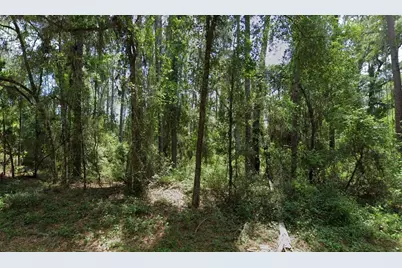 1032 E Vercelli Lane, Citrus Springs, FL 34434 - Photo 1