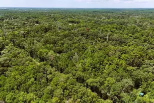 Tumbleweed Trail, Brooksville, FL 34604 - Photo 1
