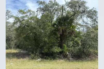9793 N Alder Avenue, Crystal River, FL 34428 - Photo 1
