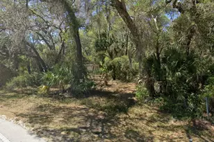 20135 SE Hwy 42, Weirsdale, FL 32195 - Photo 1