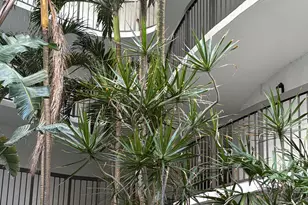 1357 NE Ocean Blvd, Stuart, FL 34996 - Photo 1