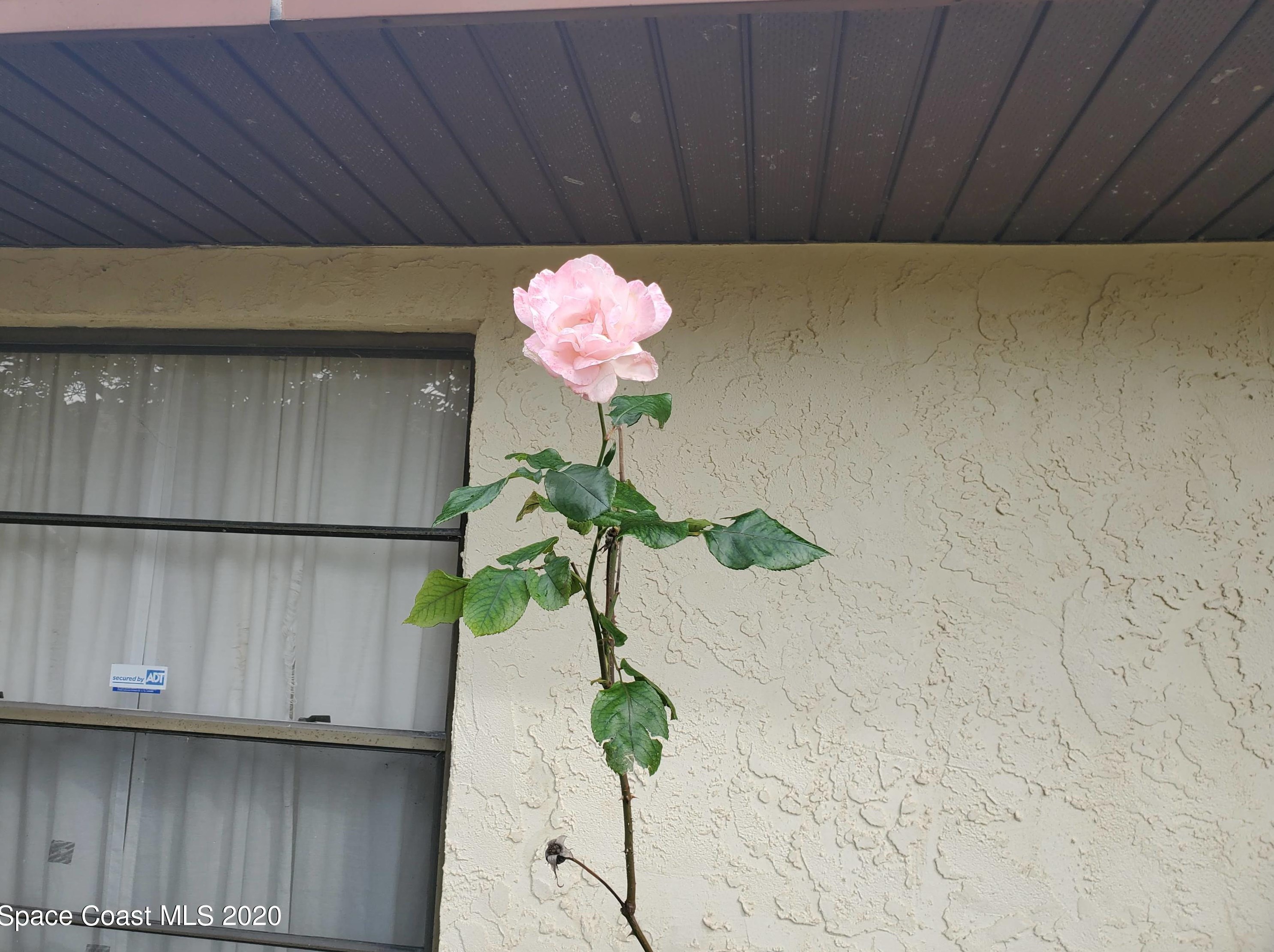 814 Starland St, Melbourne, FL 32909-4525
