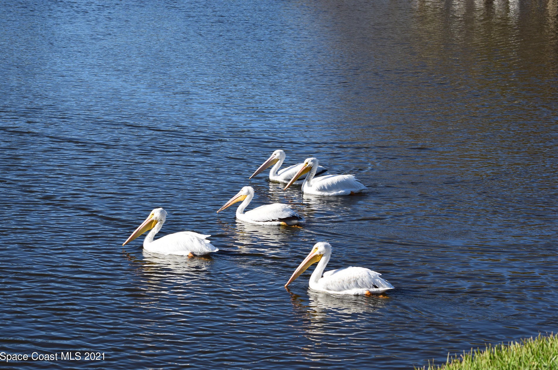 1709 Freedom Dr, Melbourne FL 32940-6714 exterior