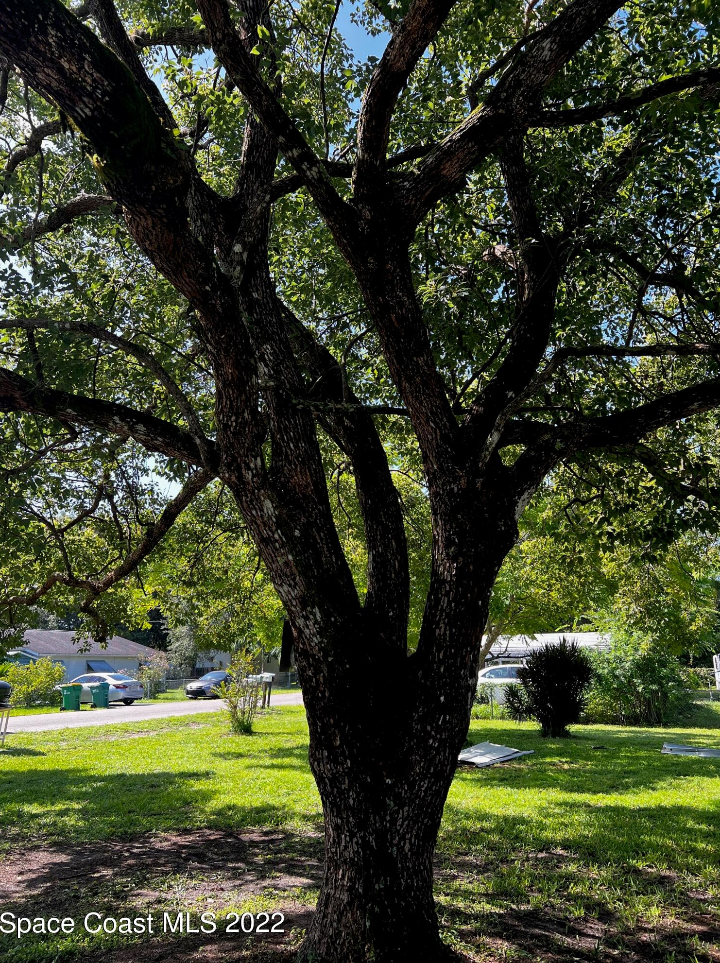 3328 Brevard Rd, Mims, FL 32754
