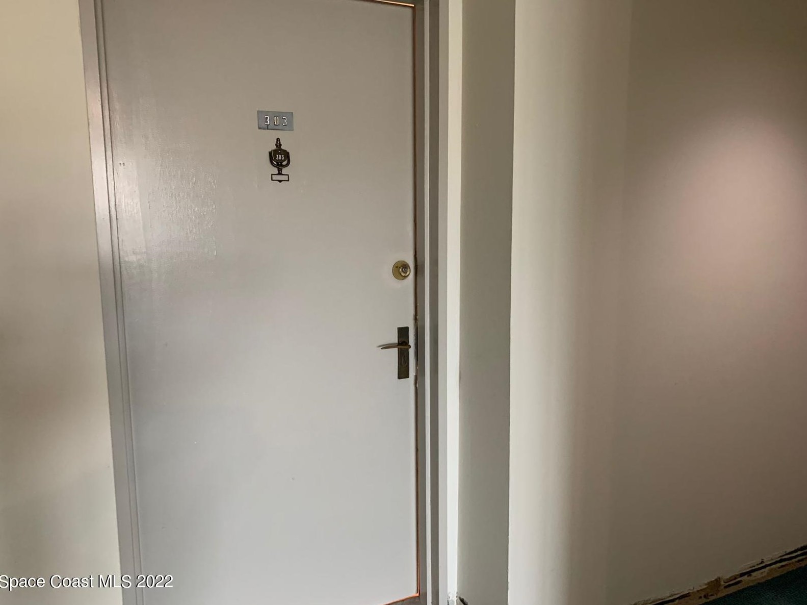 3051 S Atlantic Ave #303, Daytona Beach, FL 32118