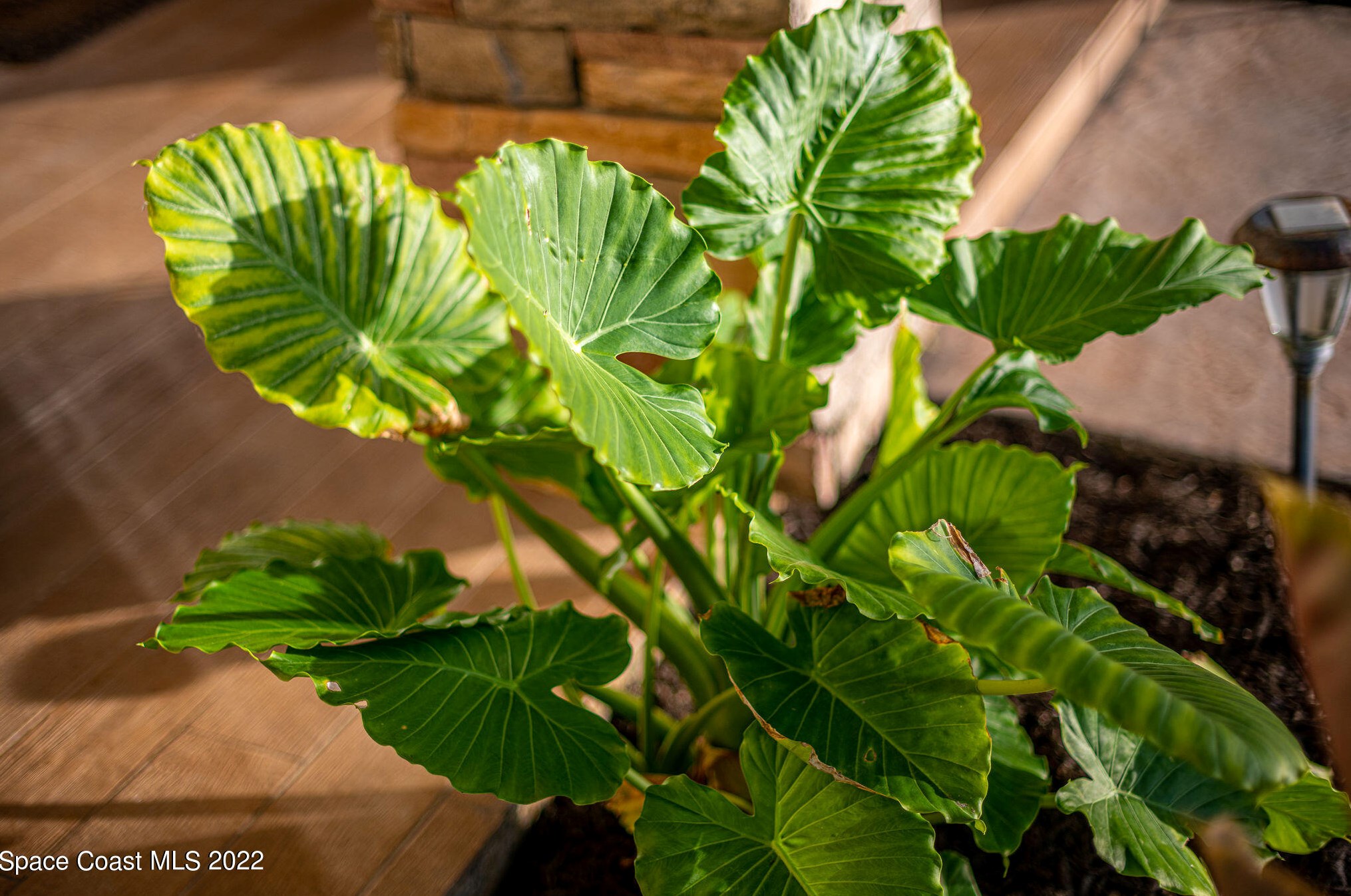 1775 Larchmont Ct, Merritt Island FL  32952-5637 exterior