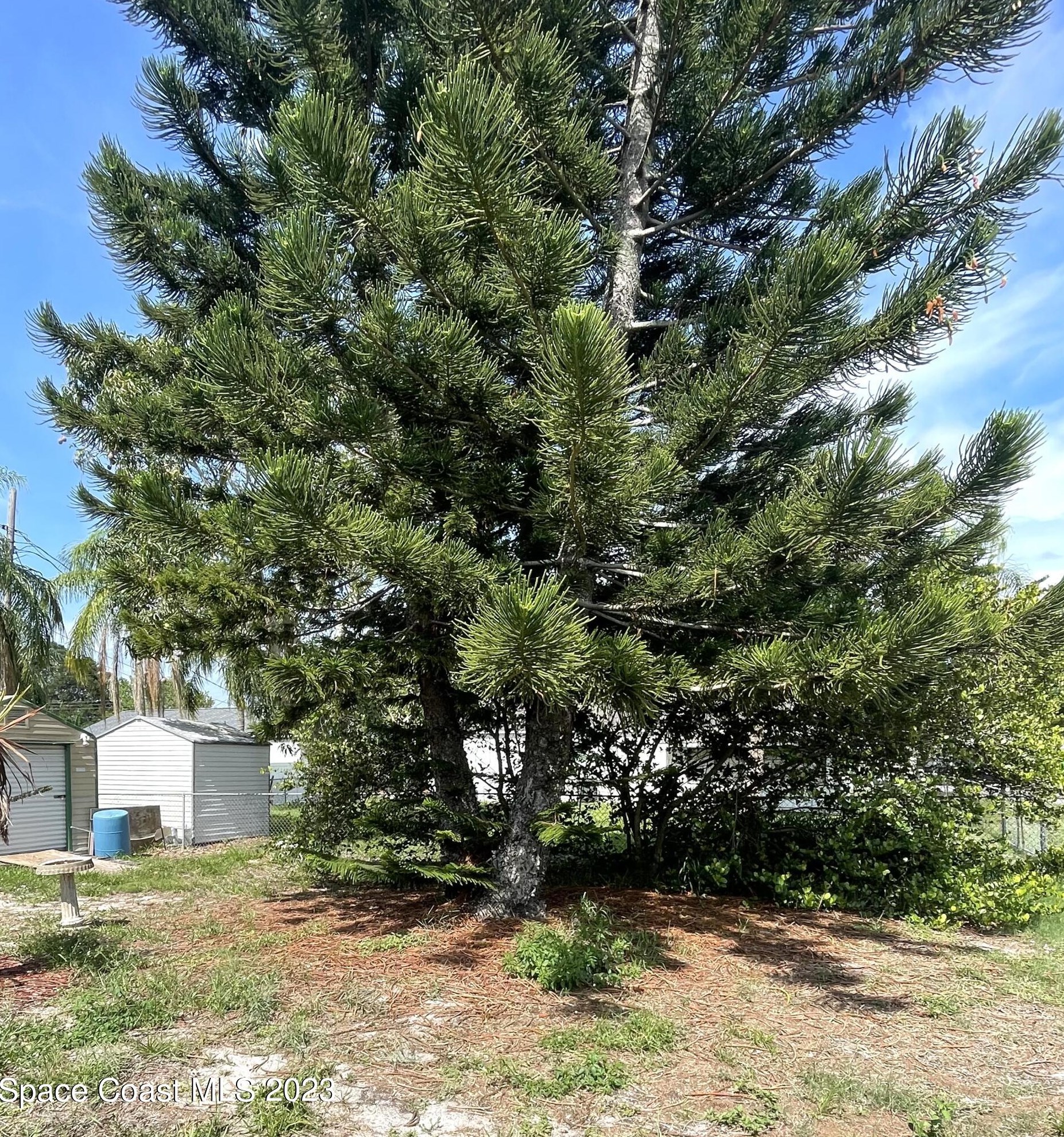 1392 Lenora Dr, Merritt Island FL 32952-5156 exterior