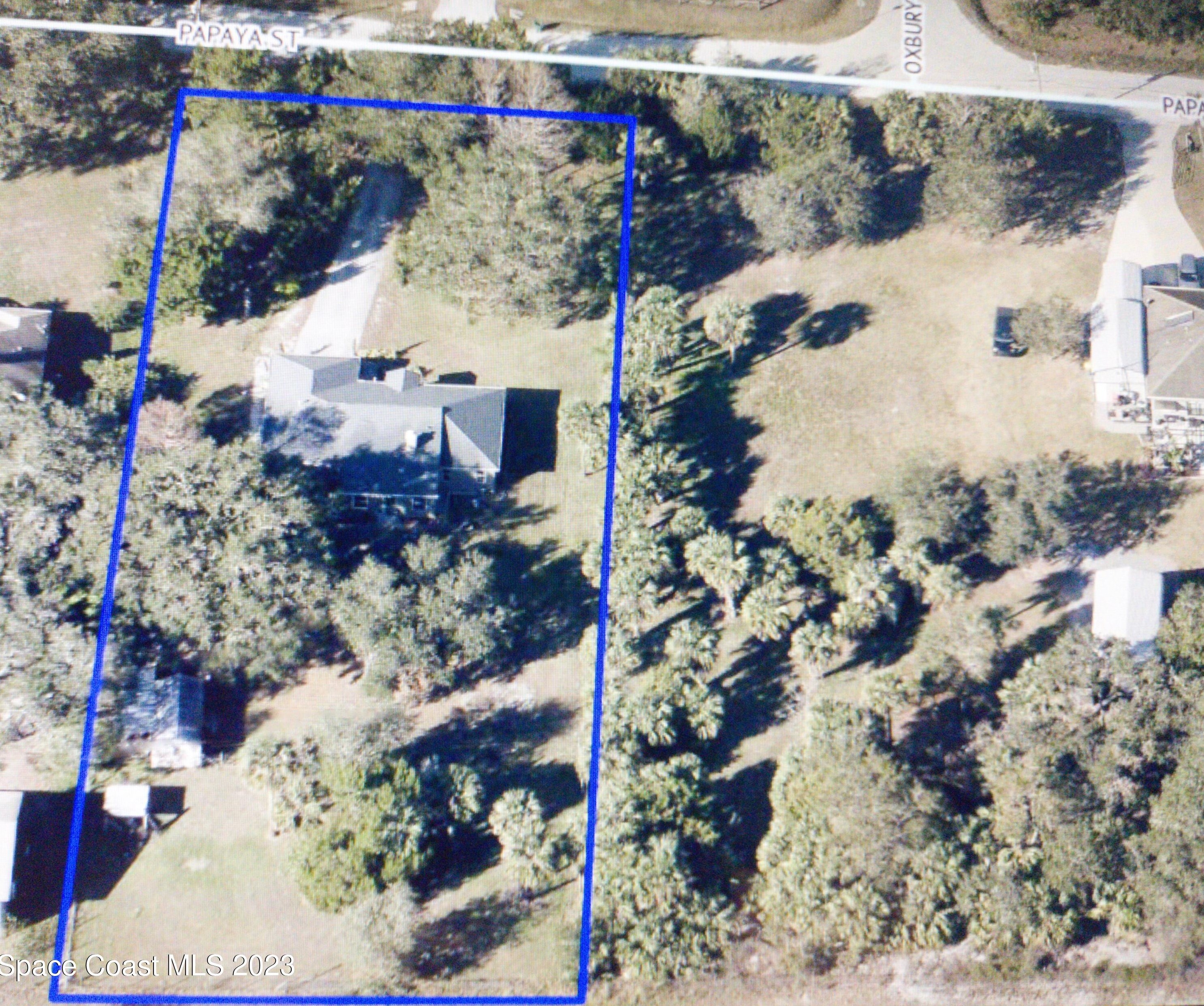 4685 Papaya St, Cocoa, FL 32926-3909