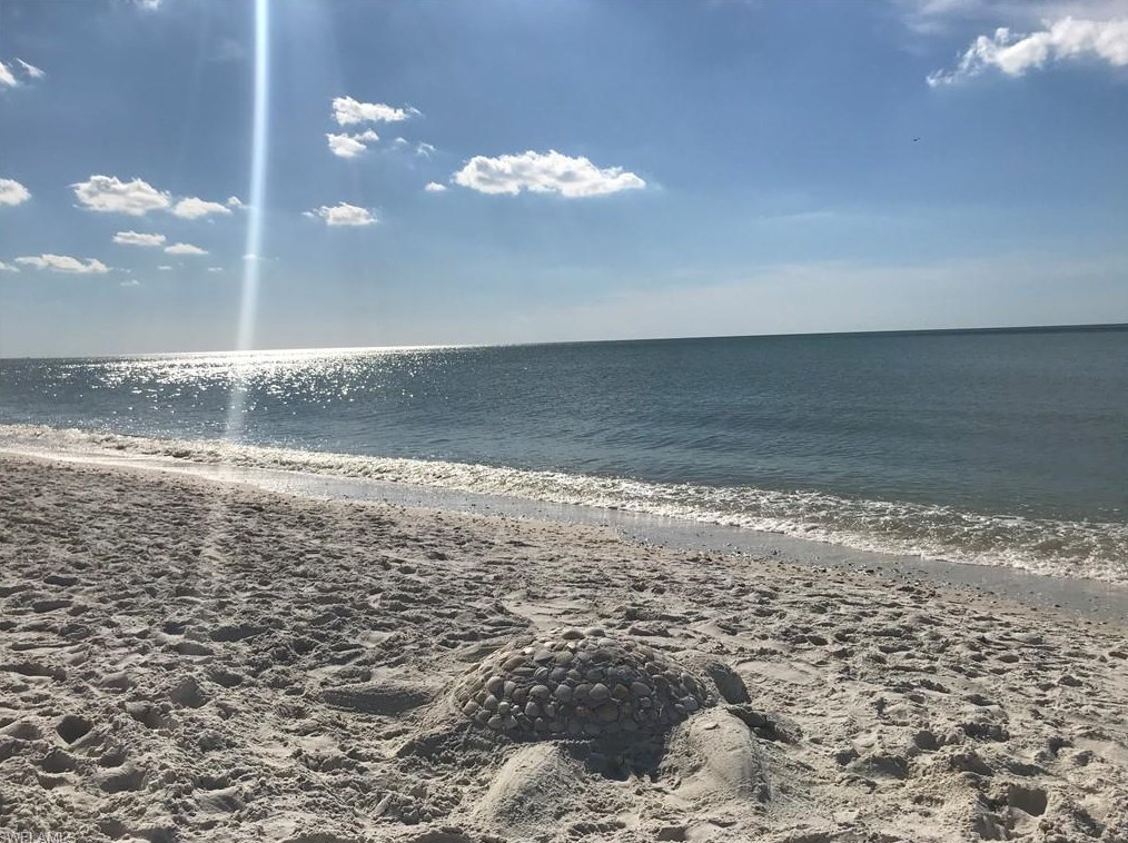 4310 Chantelle Dr, Naples FL 34112-7197 exterior