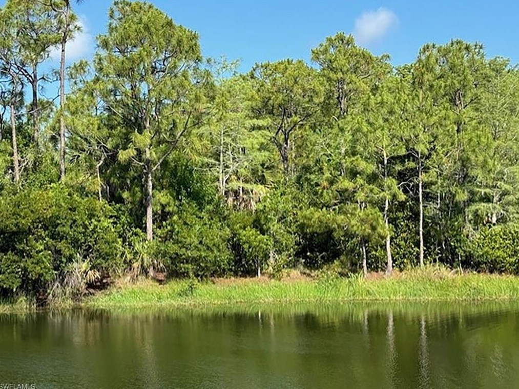 10771 Crooked River Rd, Bonita Springs, FL 34135-1709