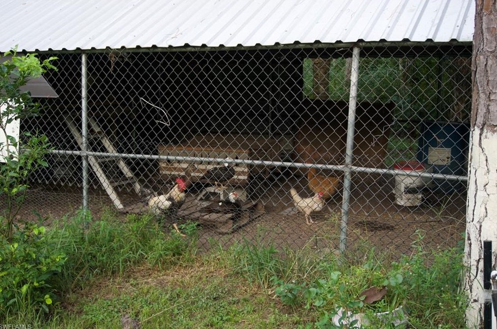 2407 Randall Blvd, Naples FL 34120-5577 exterior