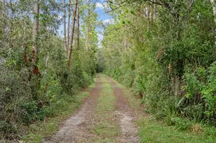 39200 Cook Brown Rd, Punta Gorda, FL 33982 - Photo 4