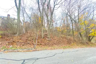 Tbd Cronemeyer Ave, Pittsburgh, PA 15212 - Photo 1