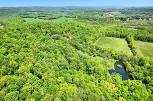 254 Light Ln, Cook Township, PA 15658 - Photo 46