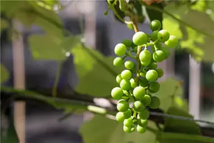 52 Timberhill, Sewickley Heights, PA 15143 - Photo 46