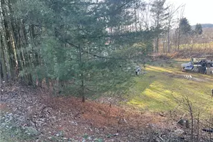 184 Pine Run Church Rd, Washington Township, PA 15613 - Photo 4