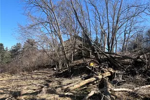 325 Glaser Ave, Pittsburgh, PA 15202 - Photo 18