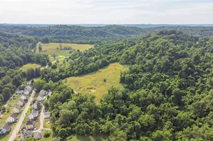 0 Tony Row - 10 Frazier Dr, Perryopolis, PA 15473 - Photo 16