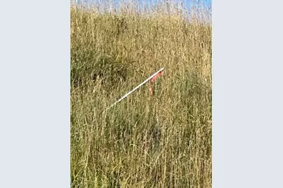 0 Tony Row - 10 Frazier Drive, Perryopolis, PA 15473 - Photo 4