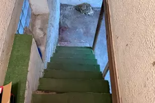 1212 Reservoir Ave, Monessen, PA 15062 - Photo 14