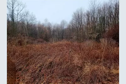 1541 Perry Hwy, Muddy Creek Township, PA 16051 - Photo 4