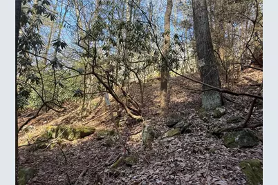 0 Boat Launch Rd, Wayne Township, PA 16222 - Photo 16