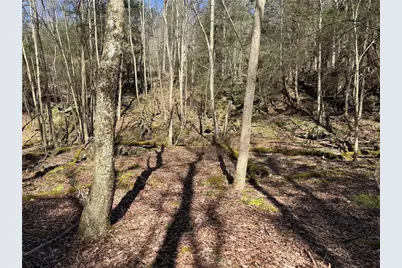 0 Boat Launch Rd, Wayne Township, PA 16222 - Photo 24