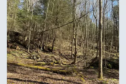 0 Boat Launch Rd, Wayne Township, PA 16222 - Photo 30