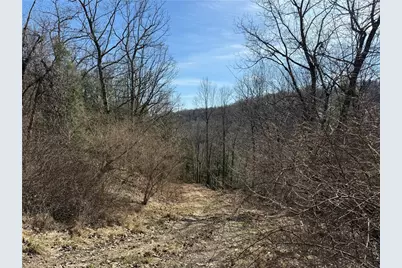 0 Boat Launch Rd, Wayne Township, PA 16222 - Photo 2