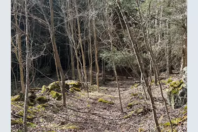 0 Boat Launch Rd, Wayne Township, PA 16222 - Photo 22