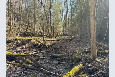 0 Boat Launch Rd, Wayne Township, PA 16222 - Photo 36